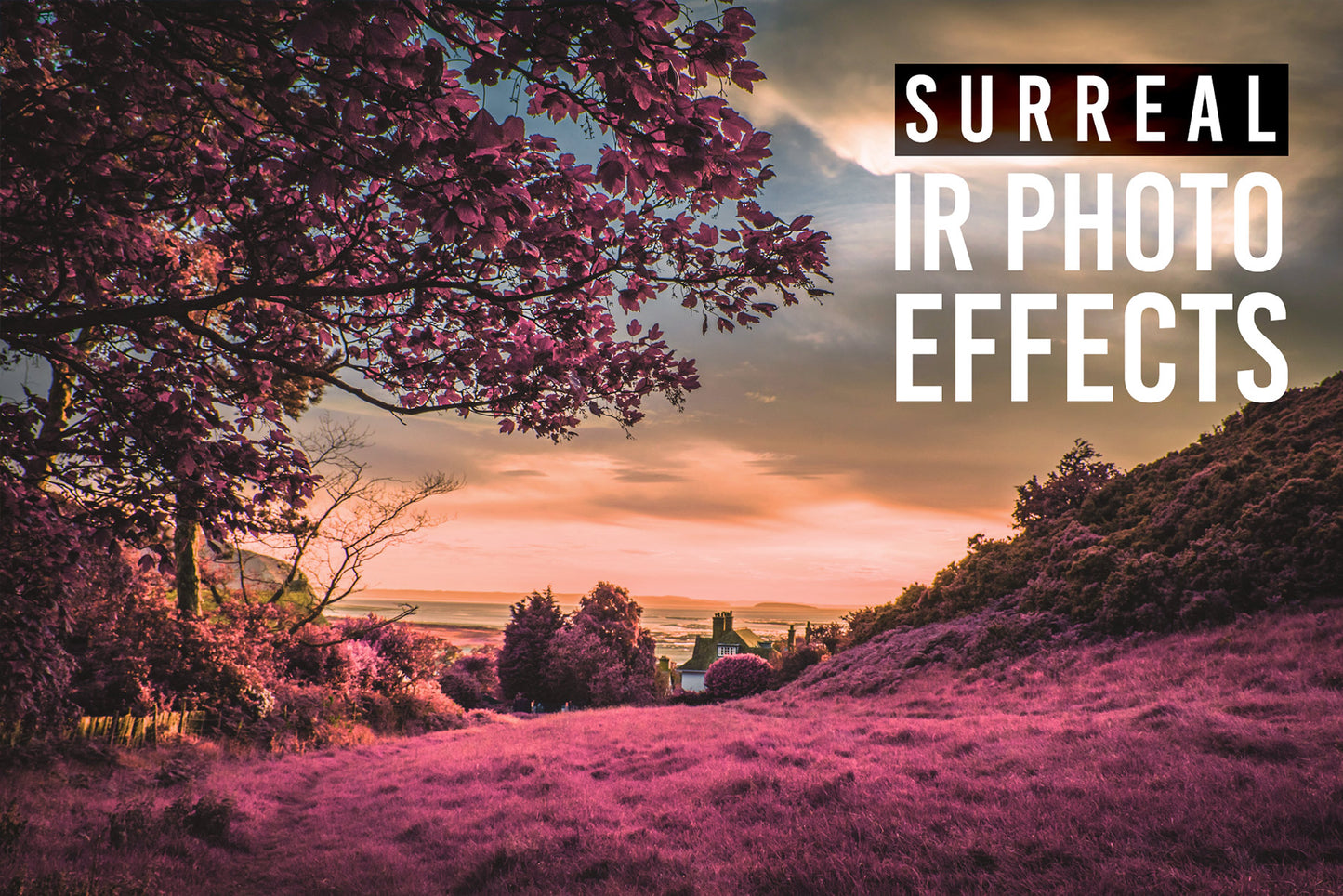 Infrared Photo Effect Actions